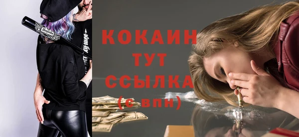гашик Горняк