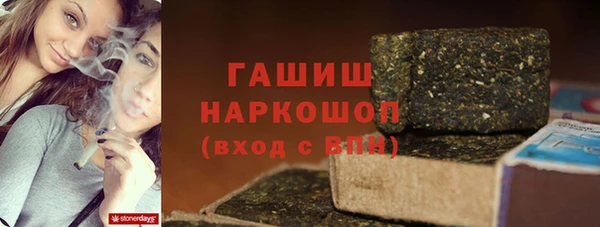 гашик Горняк