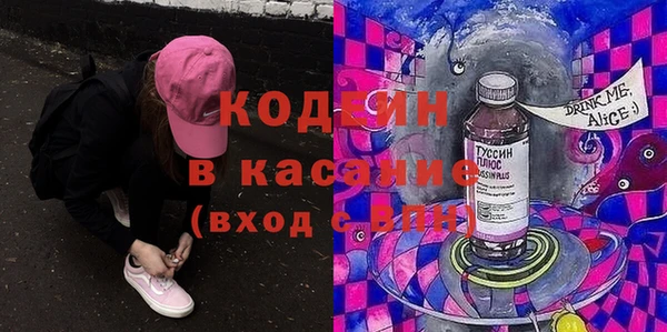 гашик Горняк
