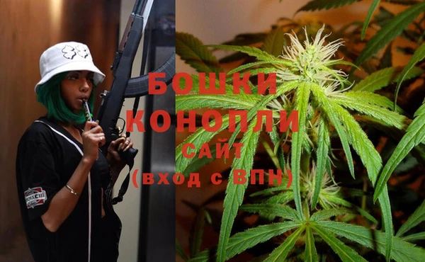 гашик Горняк