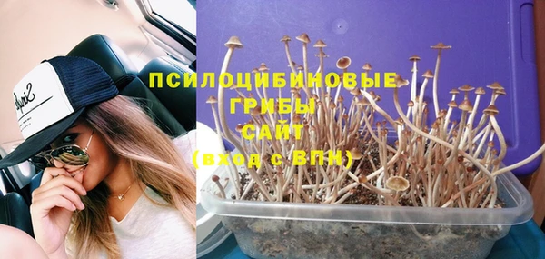PSILOCYBIN Горнозаводск