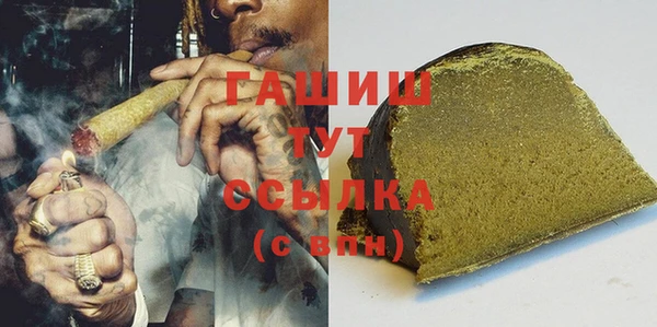 гашик Горняк