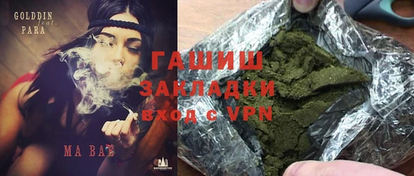 гашик Горняк