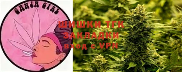 гашик Горняк