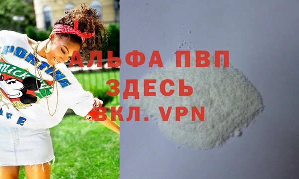 гашик Горняк