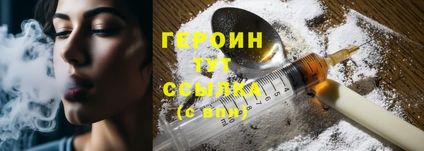гашик Горняк